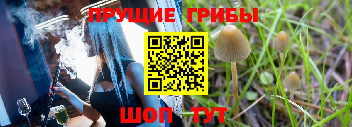 Галлюциногенные грибы Psilocybe  Вход с VPN  сколько стоит  Серпухов 